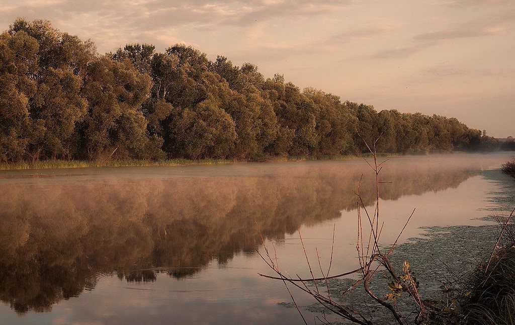 Lonjsko polje