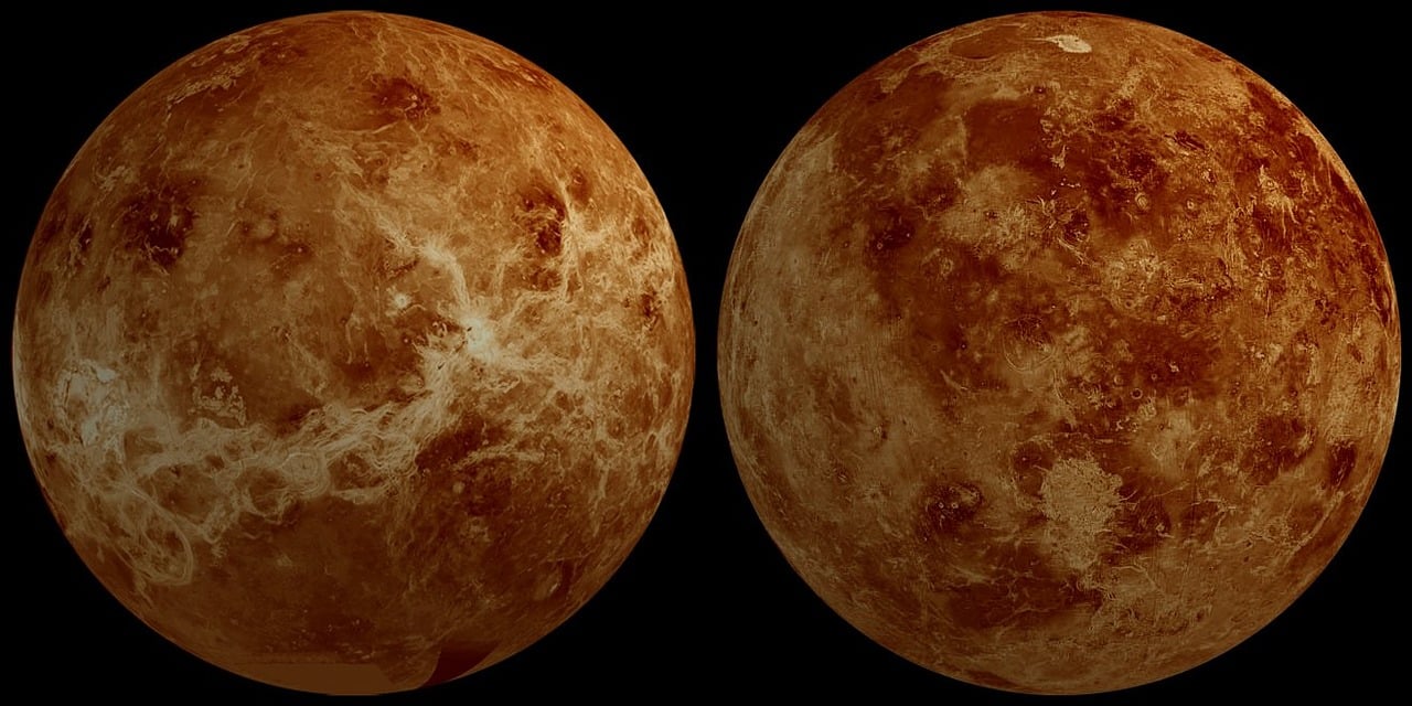Venera