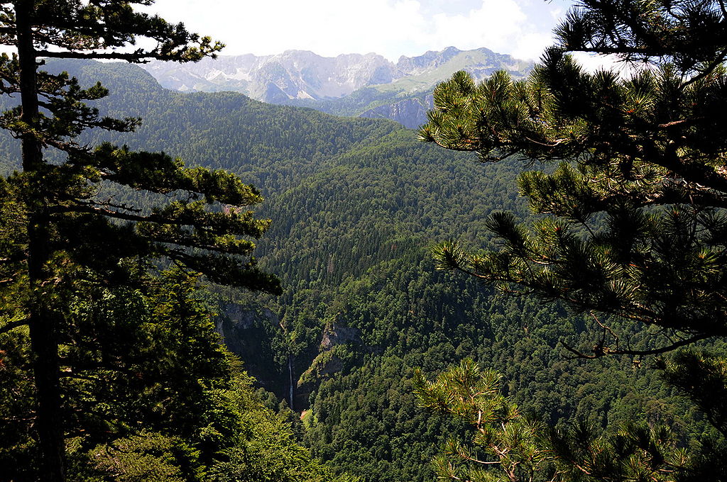 Praušuma Perućica